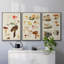 Champignon X-91887170-91887168