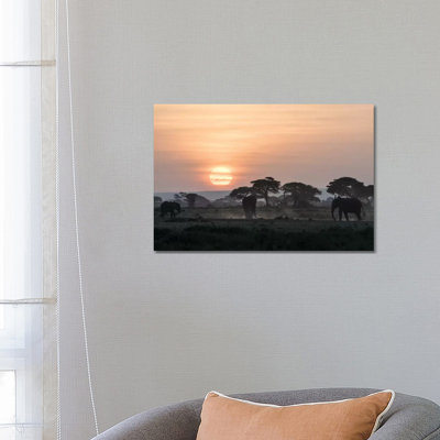 Africa, Kenya, Amboseli National Park. Elephants and Umbrella Thorn Acacia Trees 1 Piece Wrapped Canvas Wall Art