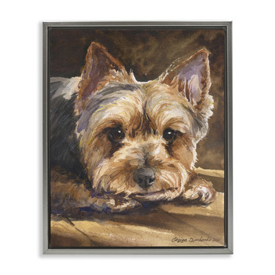 Cadre flottant Yorkshire Terrier Portrait, conception par George Dyachenko