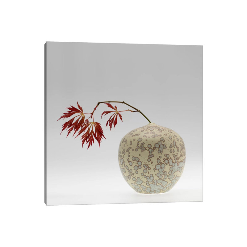 New Chinese Maple by Geoffrey Ansel Agrons - Wrapped Canvas Print, 30.48 cm H x 30.48 cm W
