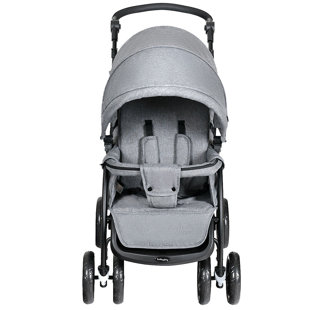 https://assets.wfcdn.com/im/83596180/resize-h310-w310%5Ecompr-r85/2088/208851742/costway-foldable-4-wheel-multi-child-stroller.jpg