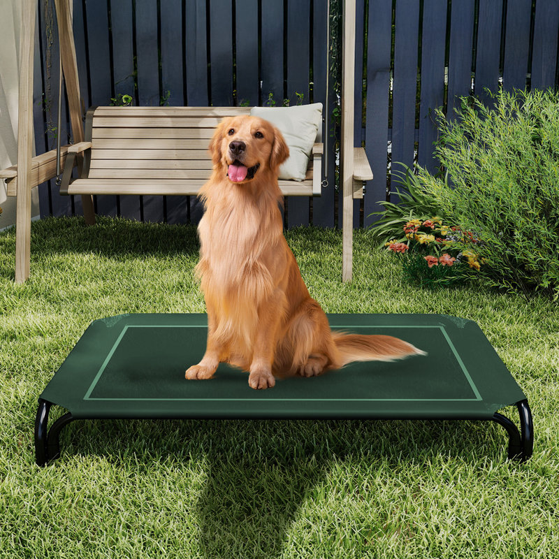 Lit pour chien surélevé intérieur / extérieur avec pieds antidérapants, TG, Vert