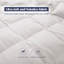 600 Fill Power All Season Down Comforter Duvet Insert-1801501210-1860804986