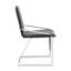 Zlatan Grey Velvet & Chrome Finish Side Chair (Set Of 2)
