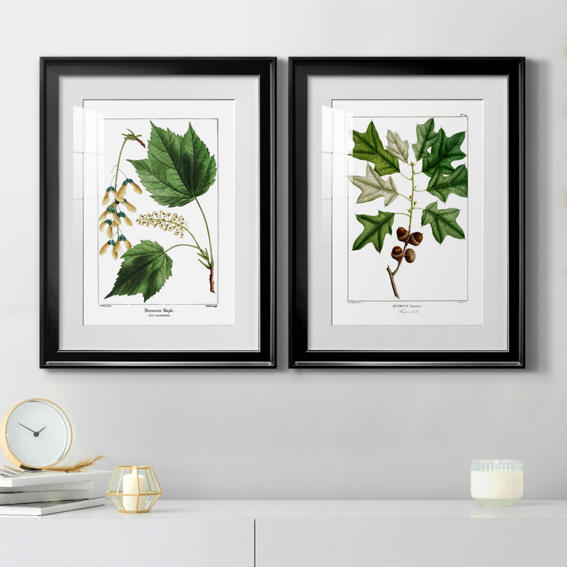 " Mountain Maple " 2 - Pieces, 22.5" H x 61" W x 1.5" D, Black Framed Paper, White