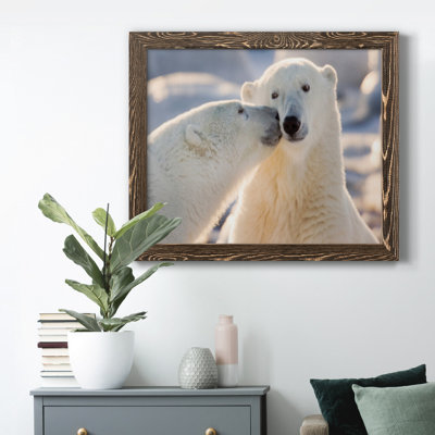 Baiser d'ours polaire - photographie sur toile