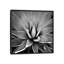 « succulent iii », impression sur toile-29174012-72792029-72792030