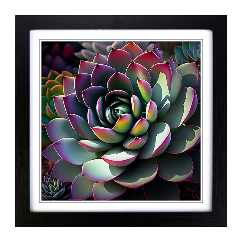 Succulent Digital Art - Framed Print, Black