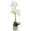 52cm Faux Flowering Plant in Ceramic Pot-1082687256