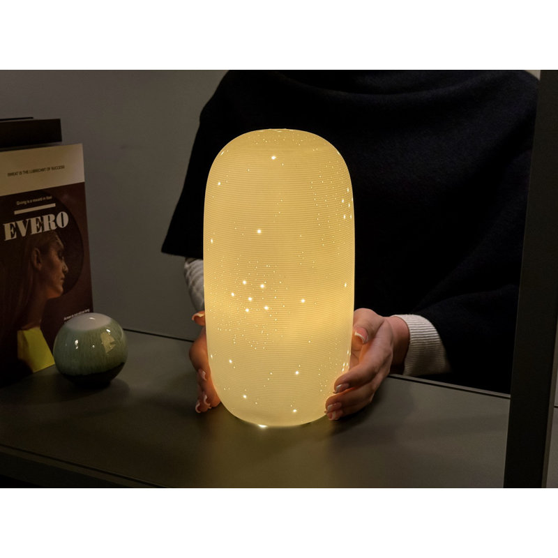 Masayuki Novelty Lamp
