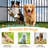 20' x10' Large Outdoor Dog Kennel Outside, Heavy Duty Dog Enclosure with Waterproof Cover and Security Lock, Dog Cage for Large Dogs