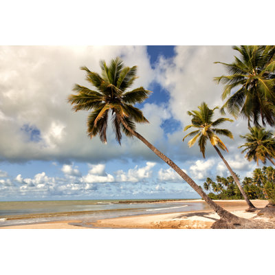 A Beautiful Beach With Palm Trees by Brasil2 - No Frame Print on Canvas