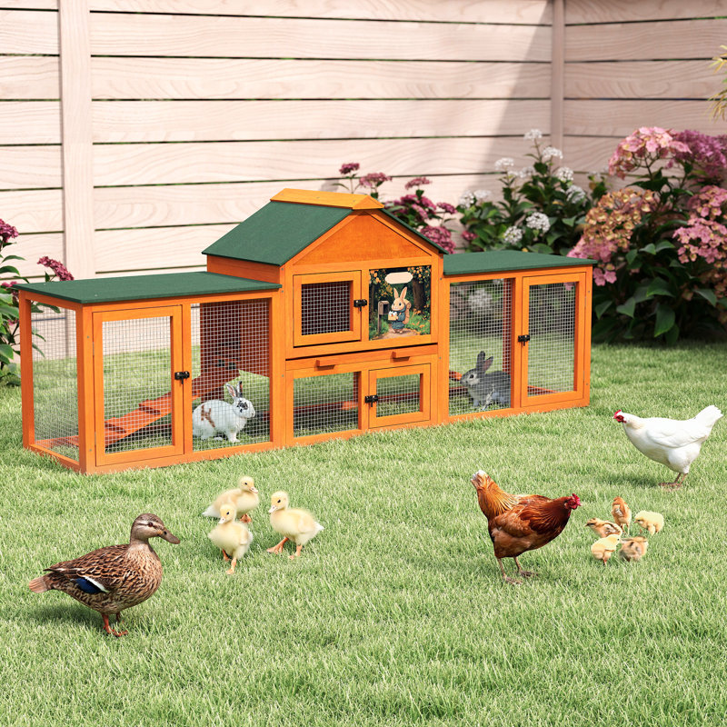 Small Animal Hutch