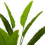Artificial Plant Strelitzia Green-1858279926