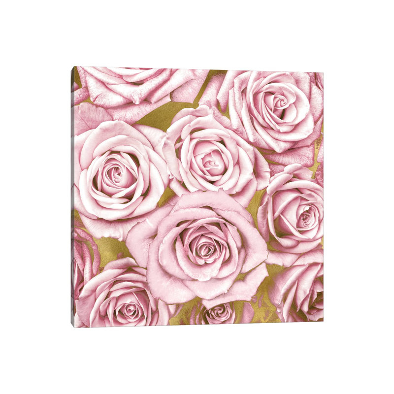 Pink Roses On Gold by Kate Bennett - Print on Canvas, Wrapped Canvas, 30.48 cm H x 30.48 cm W