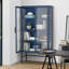 Armoire de rangement à double porte vitrée avec tablettes réglables Buffet en acier laminé à froid-1134338669