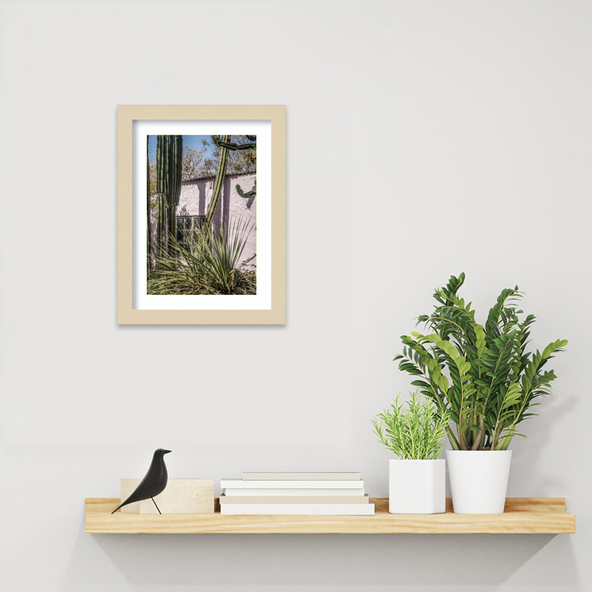 Plants On Pink by Shot by Clint Wood Framed Wall Art Print, Brown, 13" H x 10" W