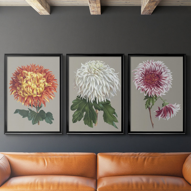 Chrysanthème sur fond gris I - Toile tendue avec châssis sur mesure - 3 pièces, H 19 po x l 45 po, Noir, noir, noir, noir