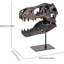 Dinosaur Head Statue Resin Dinosaur Skull Sculpture