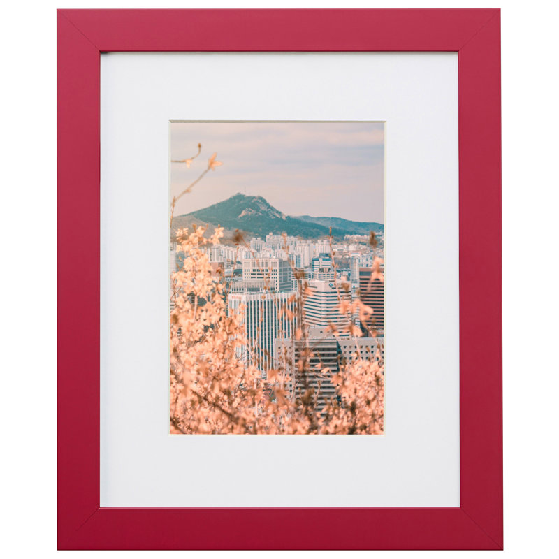 Cadre photo confetti 0,875 po Confetti, L 20 po x H 30 po avec passe-partout l 16 po x H 2, Rose