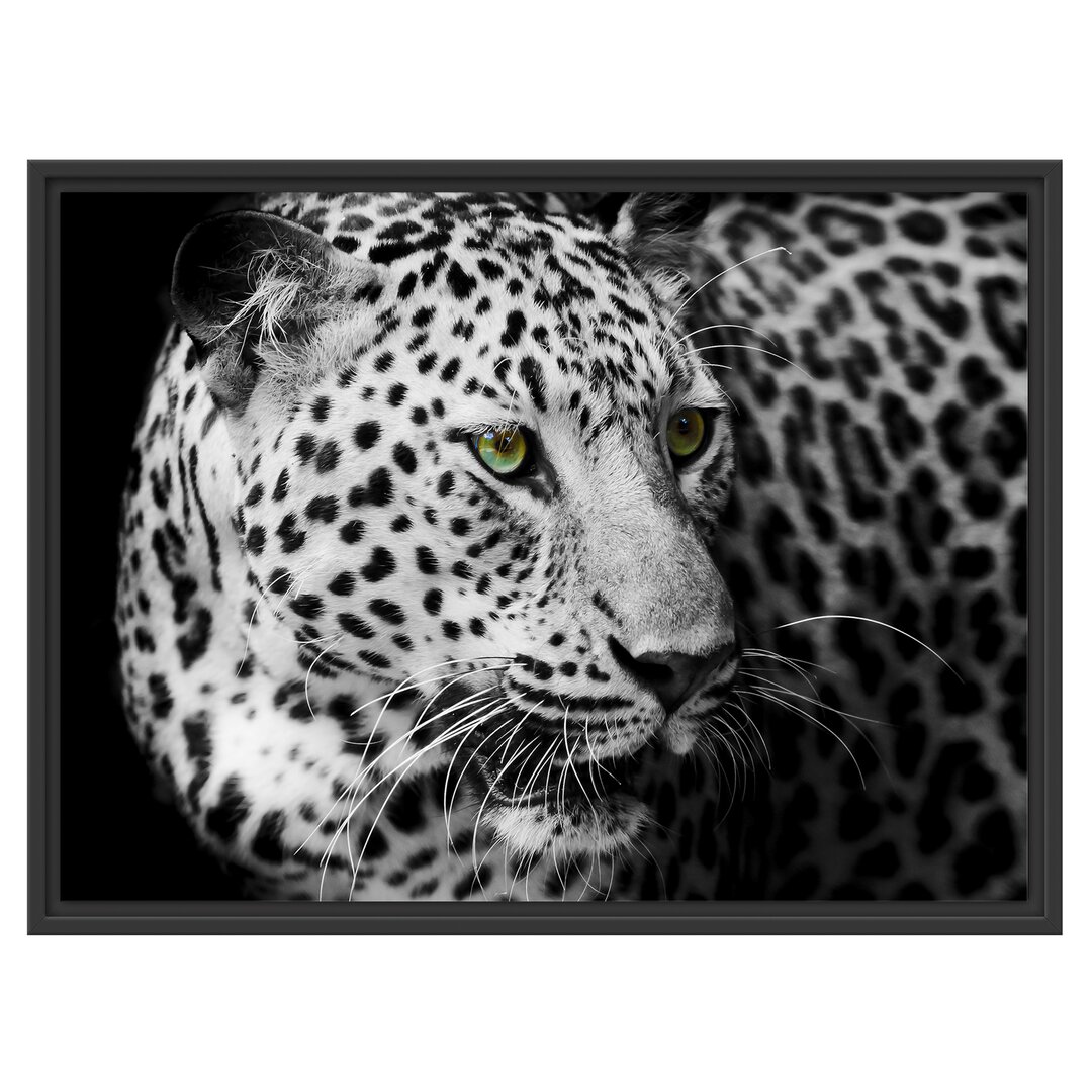 Gerahmtes Wandbild Dark Leopard mit grünen Augen