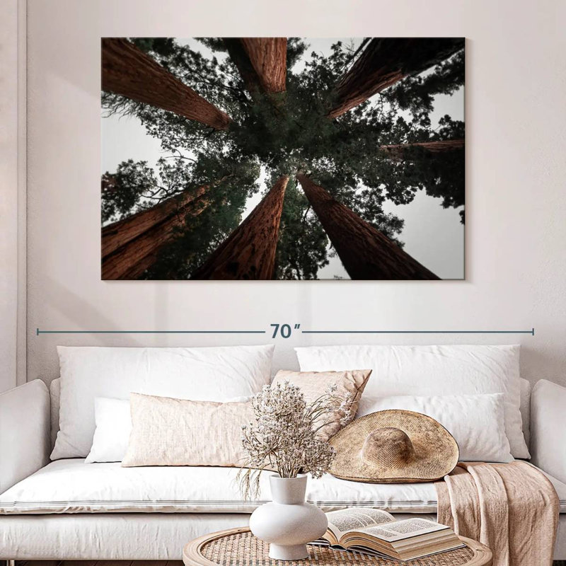 Redwoods de Harnek en Californie, H 34 po x l 51 po