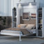 Lit double pleine grandeur avec tablettes - fabrication de meubles de chambre à coucher peu encombrante et lumières à DEL, idéale pour les petits espaces-87433121-194418982