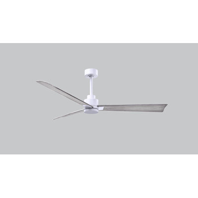 Alessandra Outdoor Downrod Ceiling Fan