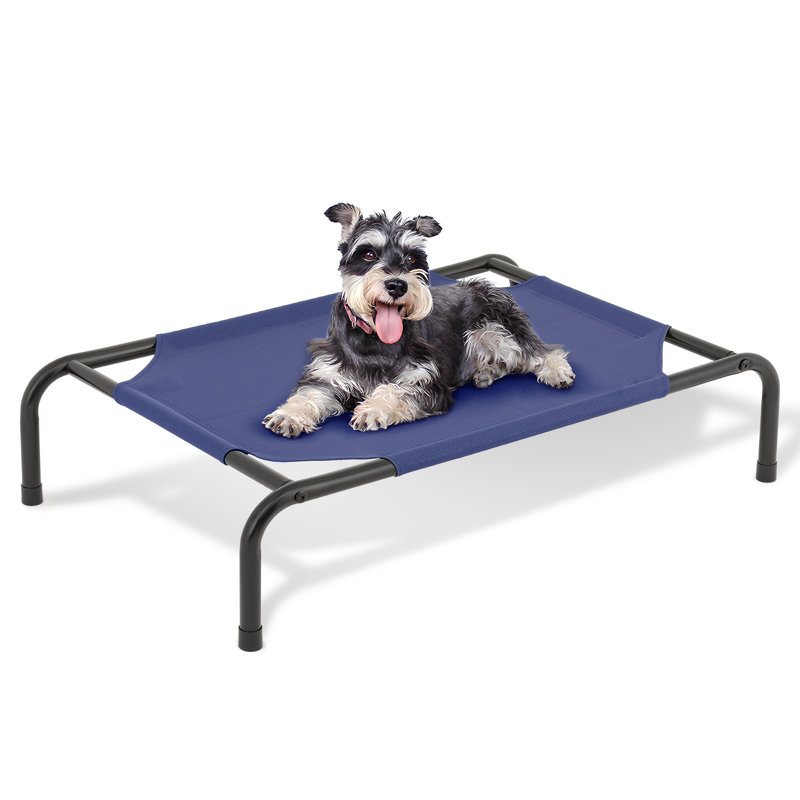 Small Navy Blue Elevated Outdoor Dog Bed with Steel Frame