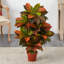 Plante artificielle en pot 37 po