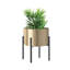Donan Plant Stand-1298963222