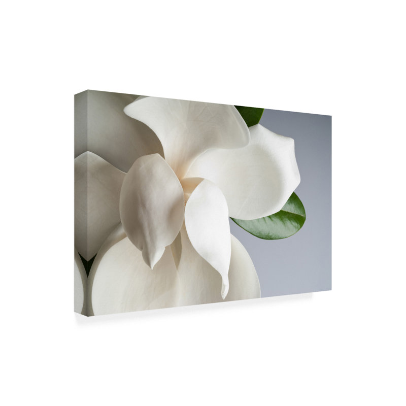 «Magnolia White and Gray» par PhotoINC Studio - reproduction de photo sur toile