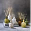 Fresh Cut Gardenia Diffuser Refill