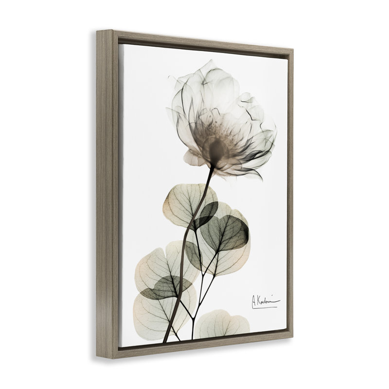 Cadre simple et élégant avec fleurs blanches flottantes, design par Albert Koetsier, Cadre flottant orme Montalcino