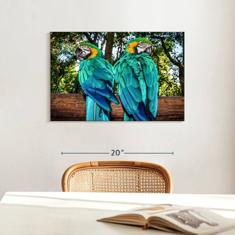 Brampt Macaw Parrots, 16" H x 24" W