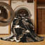  Tapis lavable Wilson's Storm Petrel Birds-57656196