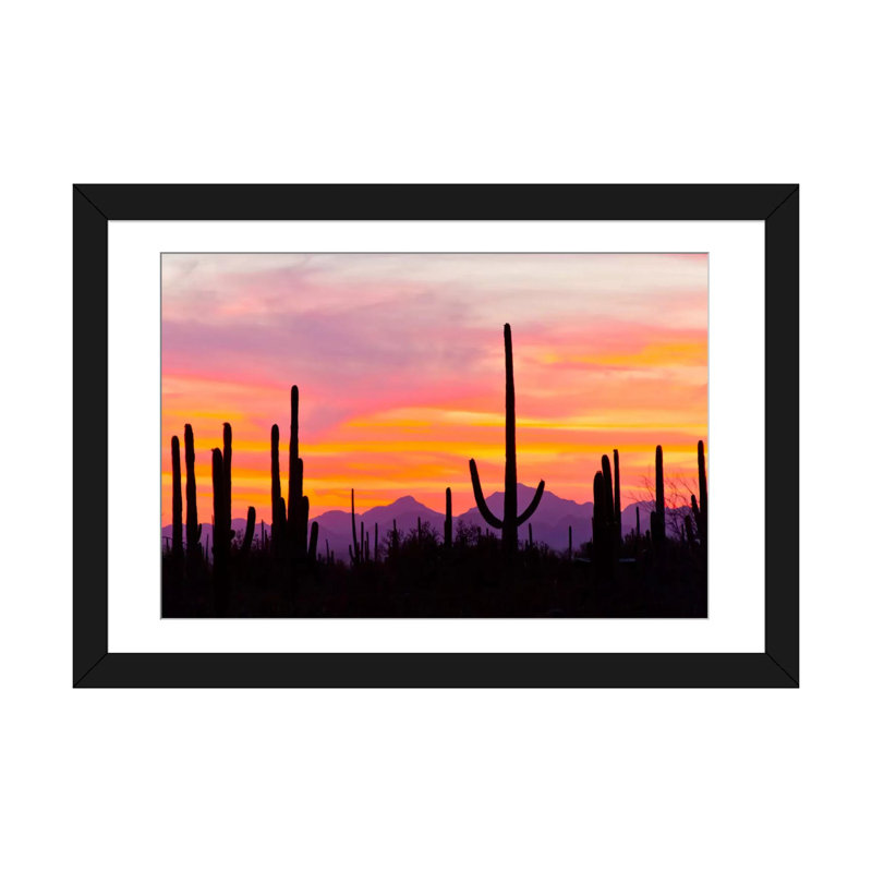 «Saguaro Cacti At Sunset I», impression sur toile, H 24 po x l 32 po x P 1 po, Papier d'art encadré noir, Blanc