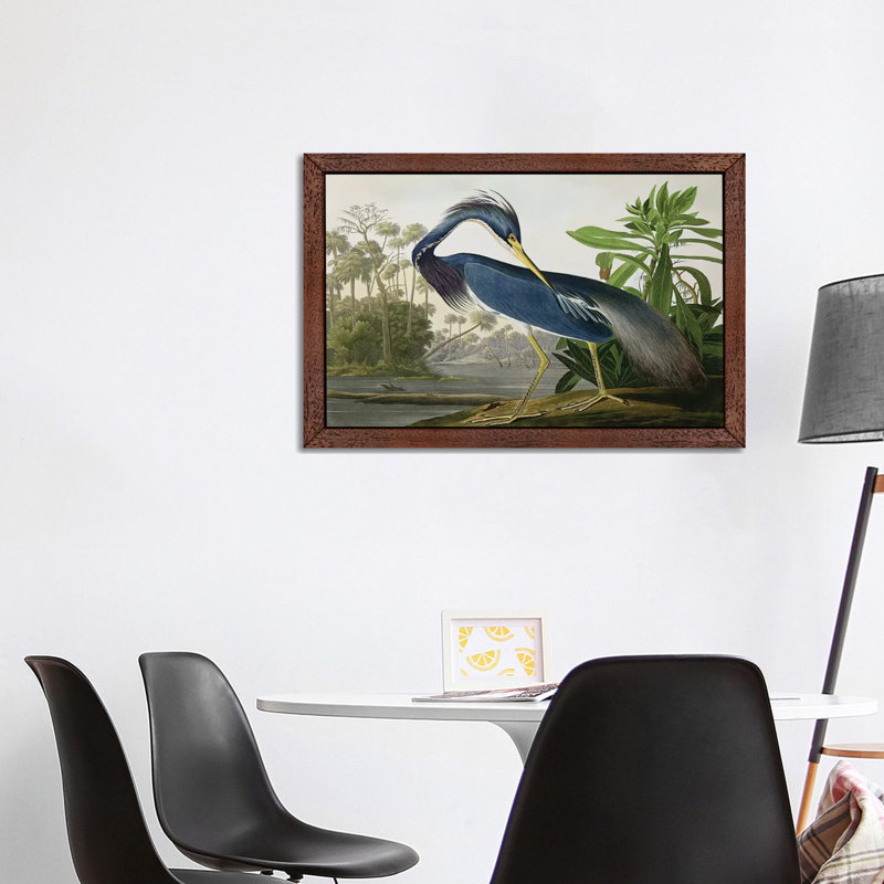 Louisiana Heron by John Audubon - Floater Frame Painting on Canvas, Brown Framed, 101.6 cm H x 66.04 cm W