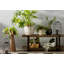 Bosworth Solid Wood Storage Bench