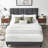 Tyseana Contemporary Modern Upholstered Platform Bed with Adjustable Headboard-437408621