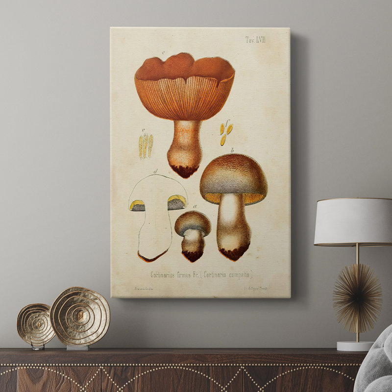 Variétés de champignons I - galerie Cavas sur mesure, H 18 po x l 12 po