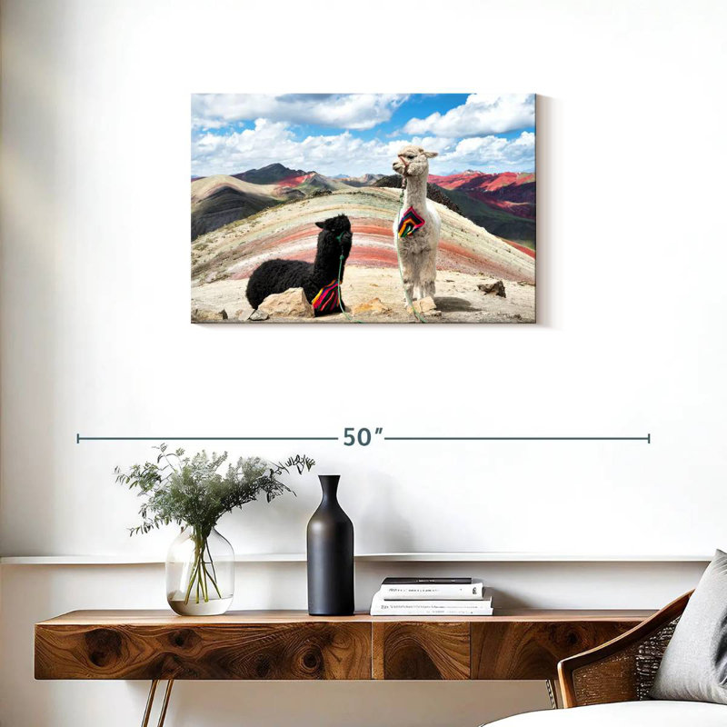 Brampt couleurs du Pérou - noir et blanc, H 20 po x l 30 po