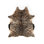 Mateo Cowhide Animal Print Area Rug in Zebra Hair On Hide