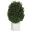 Alasiah Wood Planter Box-1696373210-1696373215