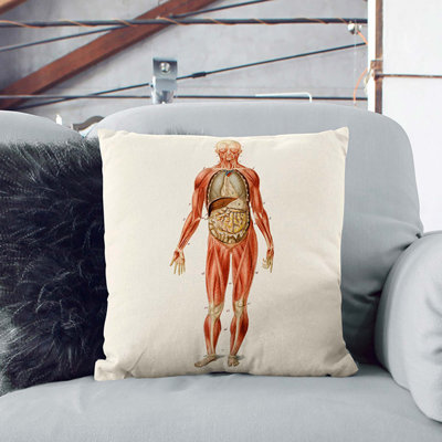 Square Cushion