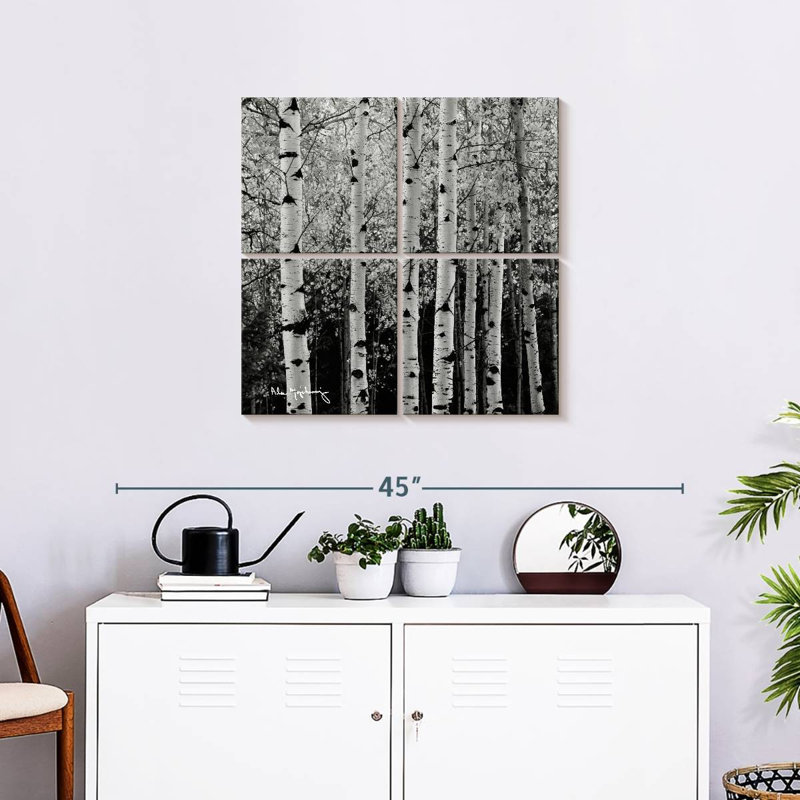 Alvord Aspens en automne BW, H 26 po x l 26 po
