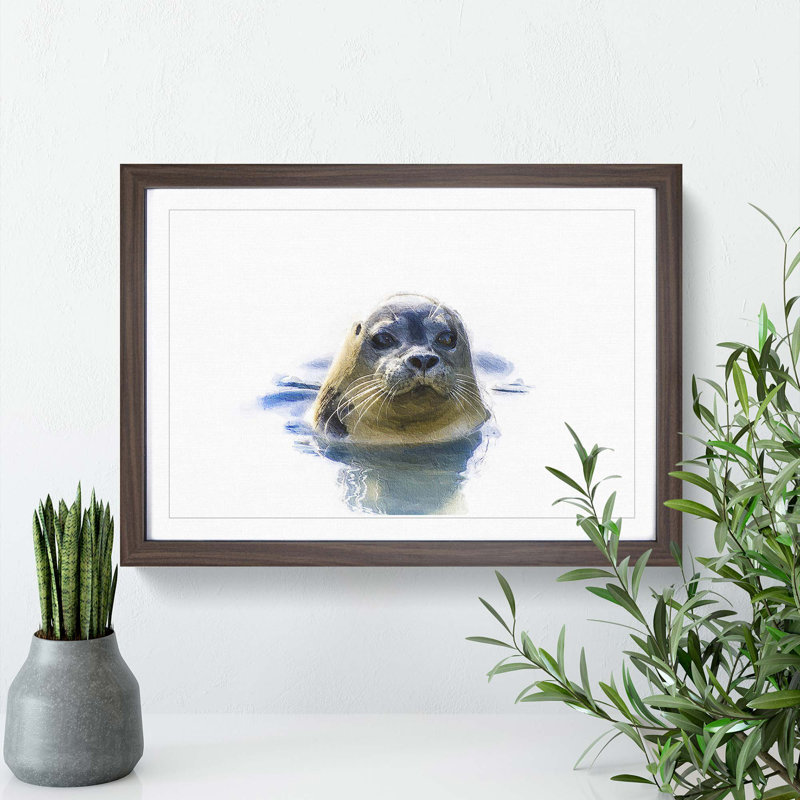 Grey Seal - Picture Frame Painting Print, 27cm H x 36cm W x 2cm D, Walnut Framed