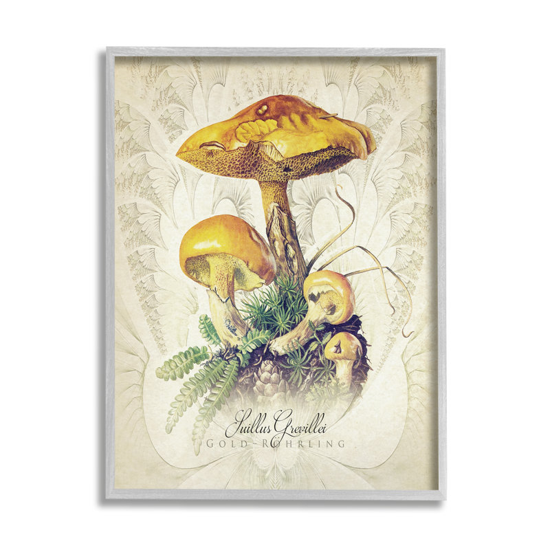 Étude de champignon allemand allemand sur bois par Steve Hunziker, impression, H 30 po x l 24 po x P 1,5 po