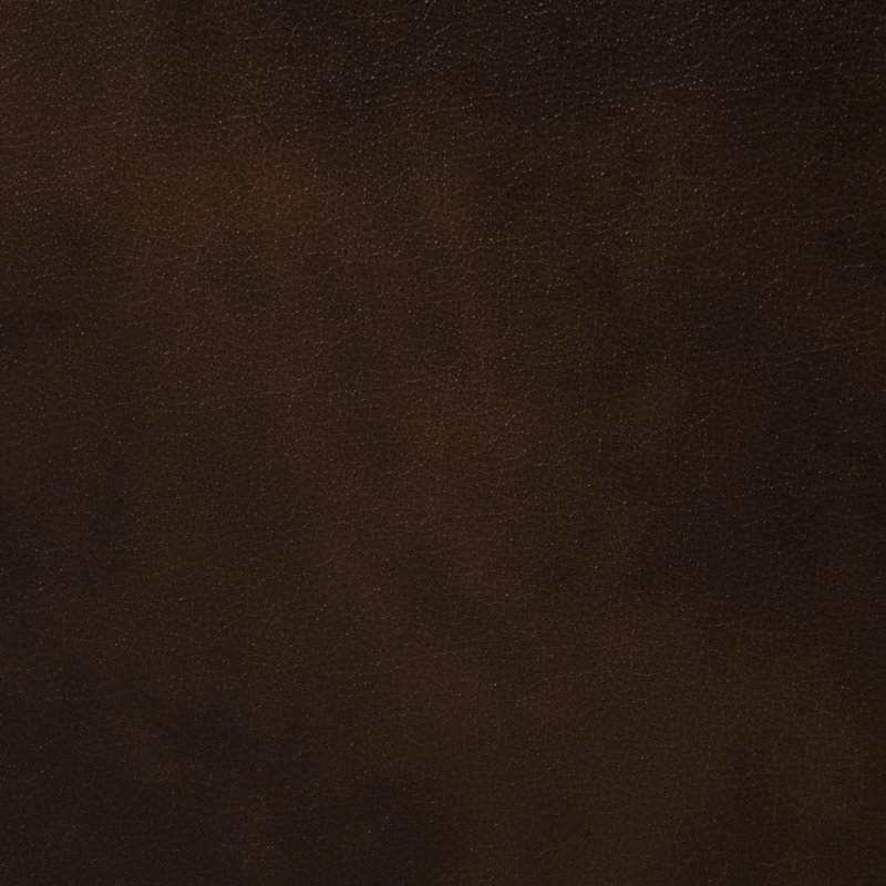 Tamico Genuine Leather Sofa, Brown, 4