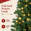 Fir Christmas Tree-900500794